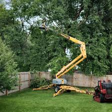 Best Firewood Processing and Delivery  in Goose Creek, SC